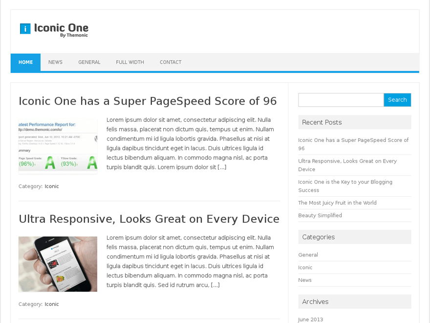 Iconic One theme websites examples