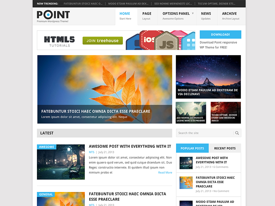 Point theme websites examples