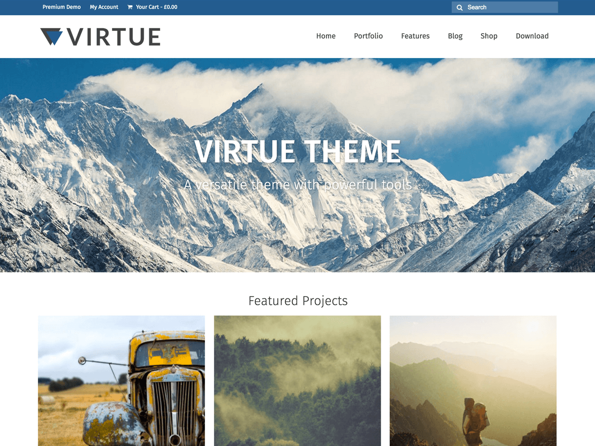 Virtue theme websites examples