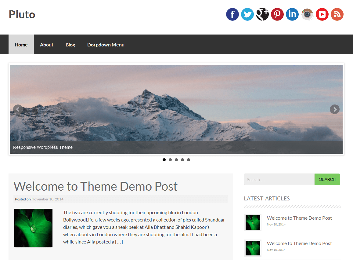Pluto website example screenshot