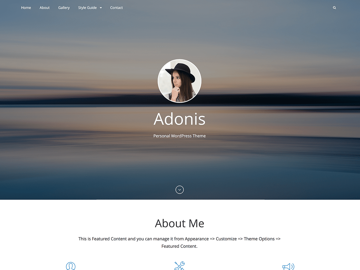 Adonis theme websites examples