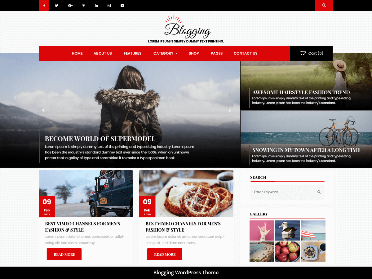advance-blogging theme websites examples