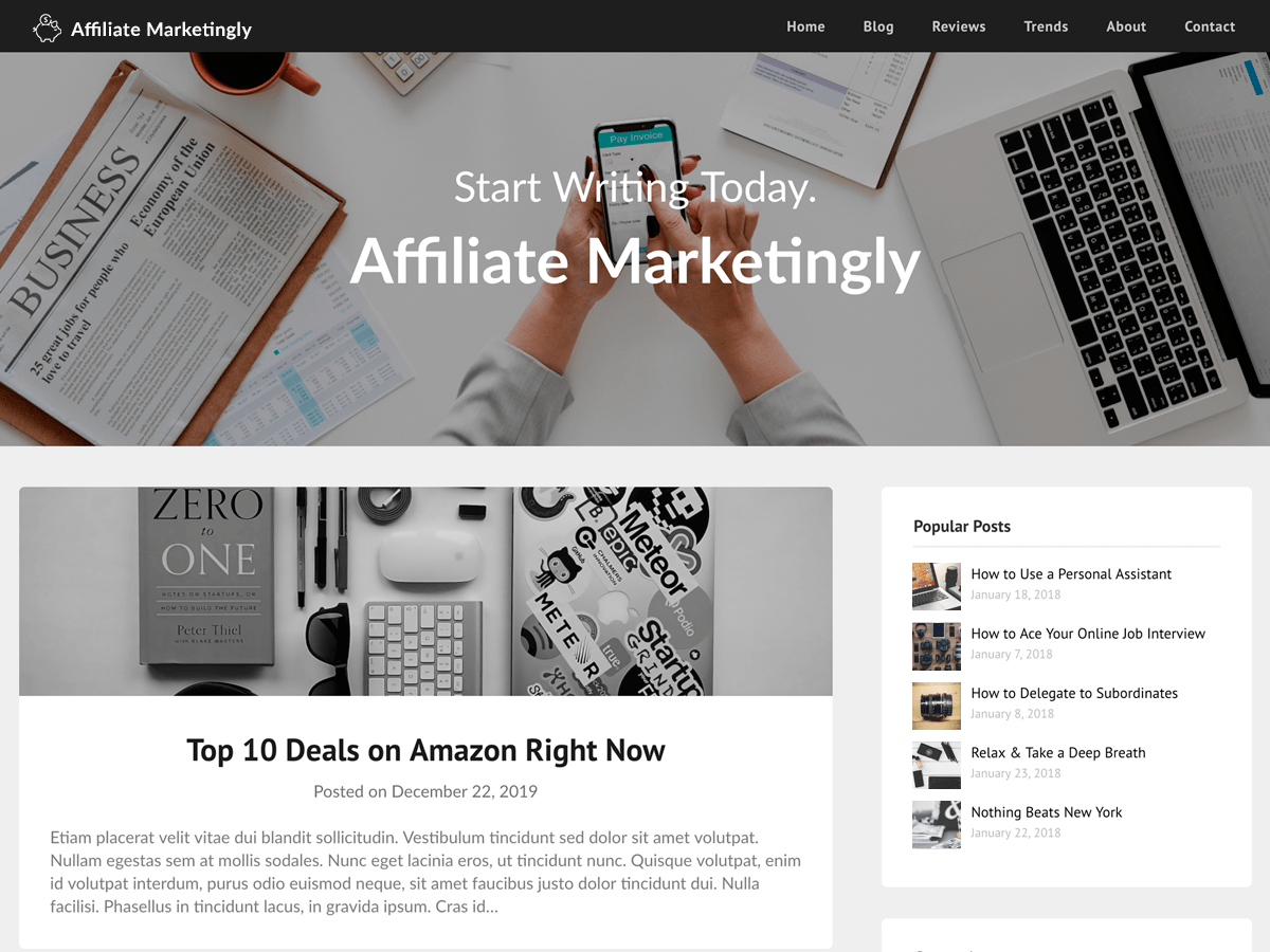 Affiliate Marketingly website example screenshot