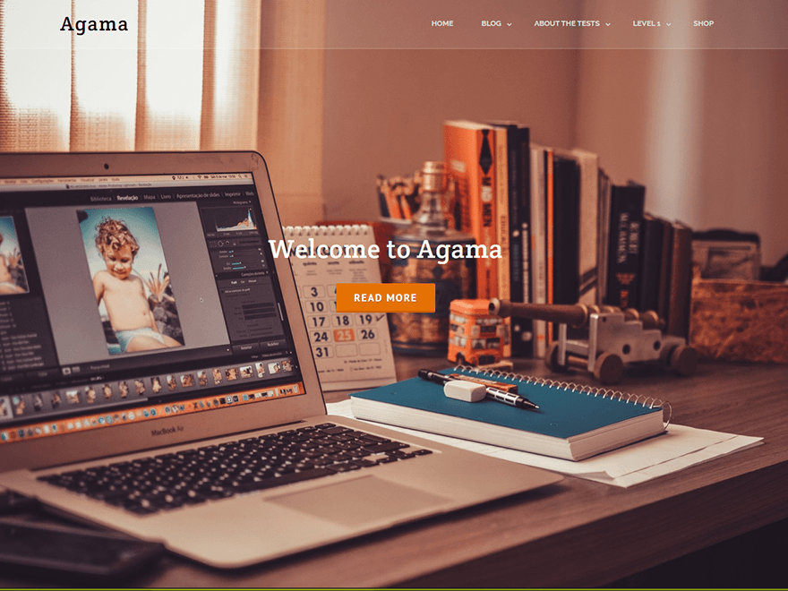 Agama website example screenshot