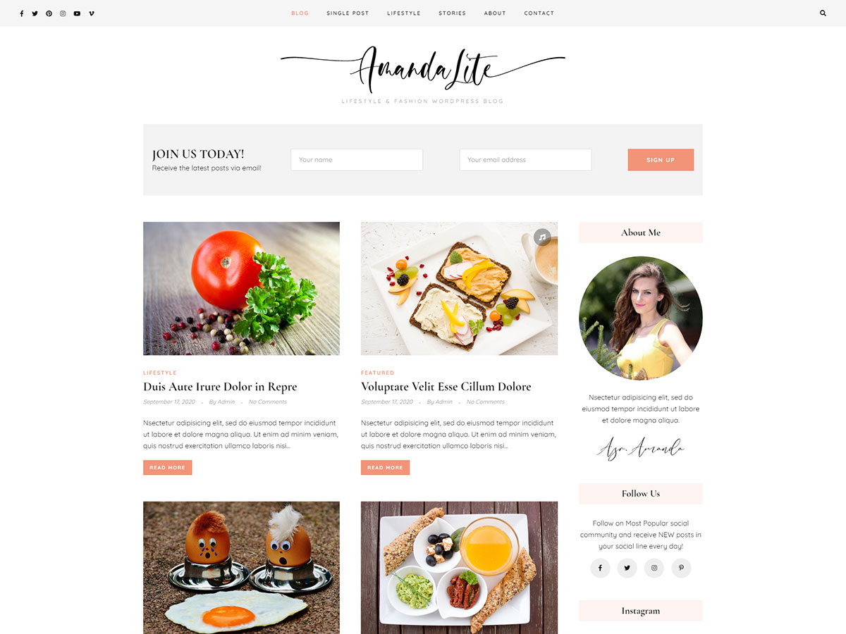 amandalite theme websites examples