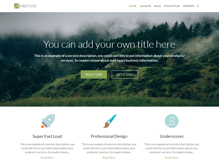 Ambition website example screenshot