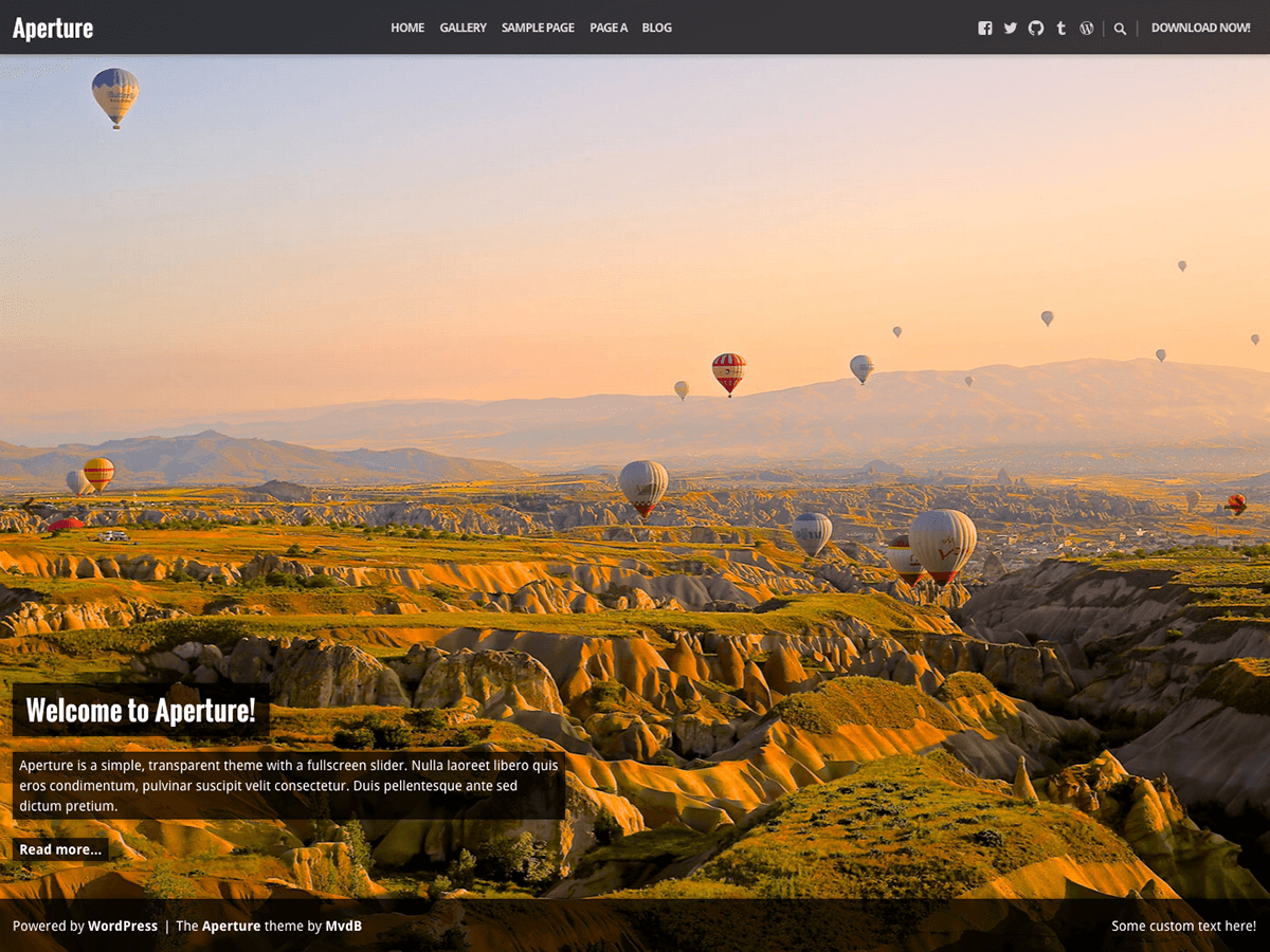 Aperture website example screenshot