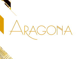 aragona WordPress theme, websites list used aragona theme aragona theme websites examples