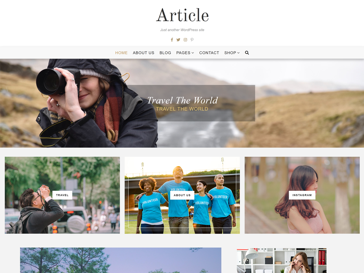 article-lite theme websites examples