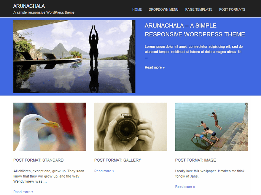 Arunachala WordPress theme, websites list used Arunachala theme Arunachala theme websites examples