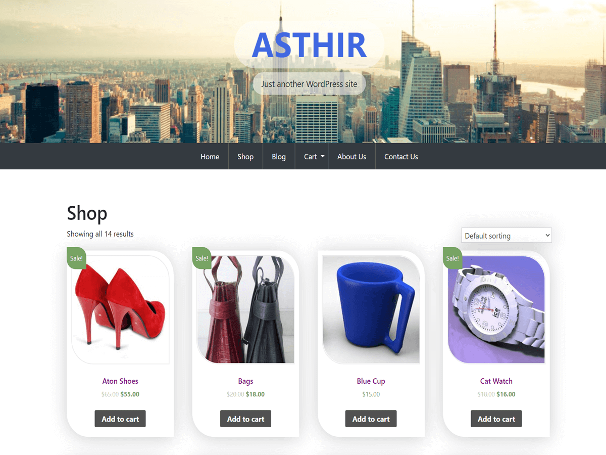 asthir theme websites examples