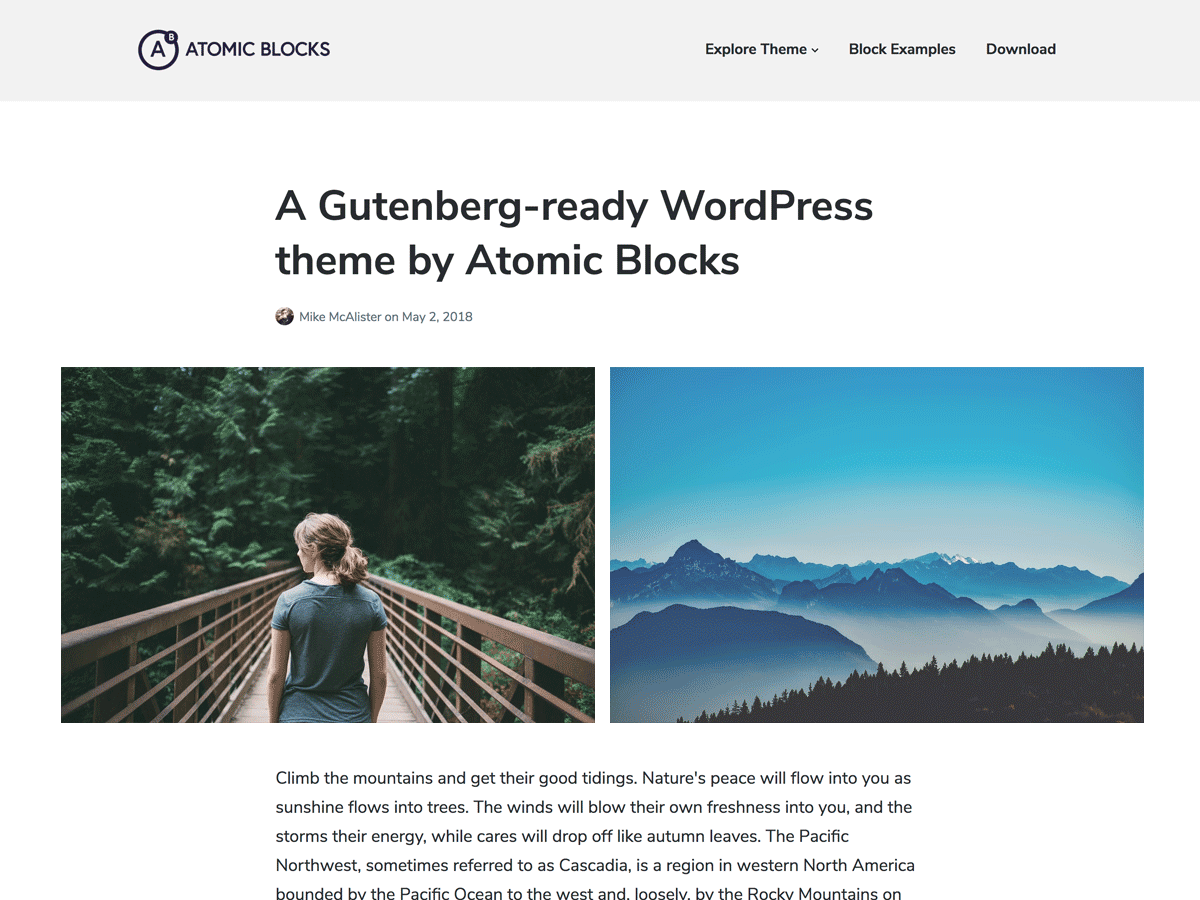 Atomic Blocks website example screenshot
