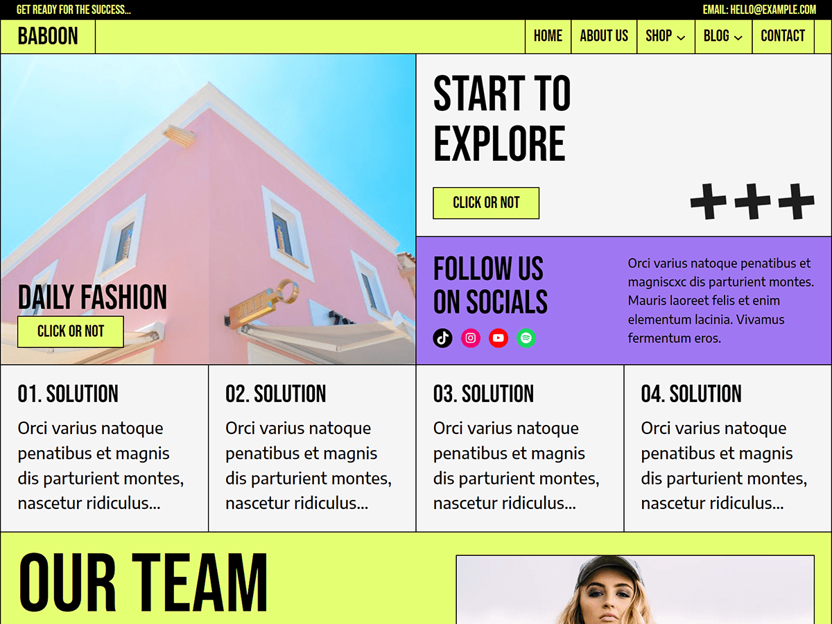 baboon WordPress theme, websites list used baboon theme baboon theme websites examples