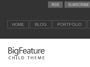 bfwide WordPress theme, websites list used bfwide theme bfwide theme websites examples