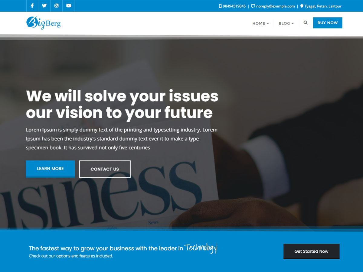 Bizberg website example screenshot