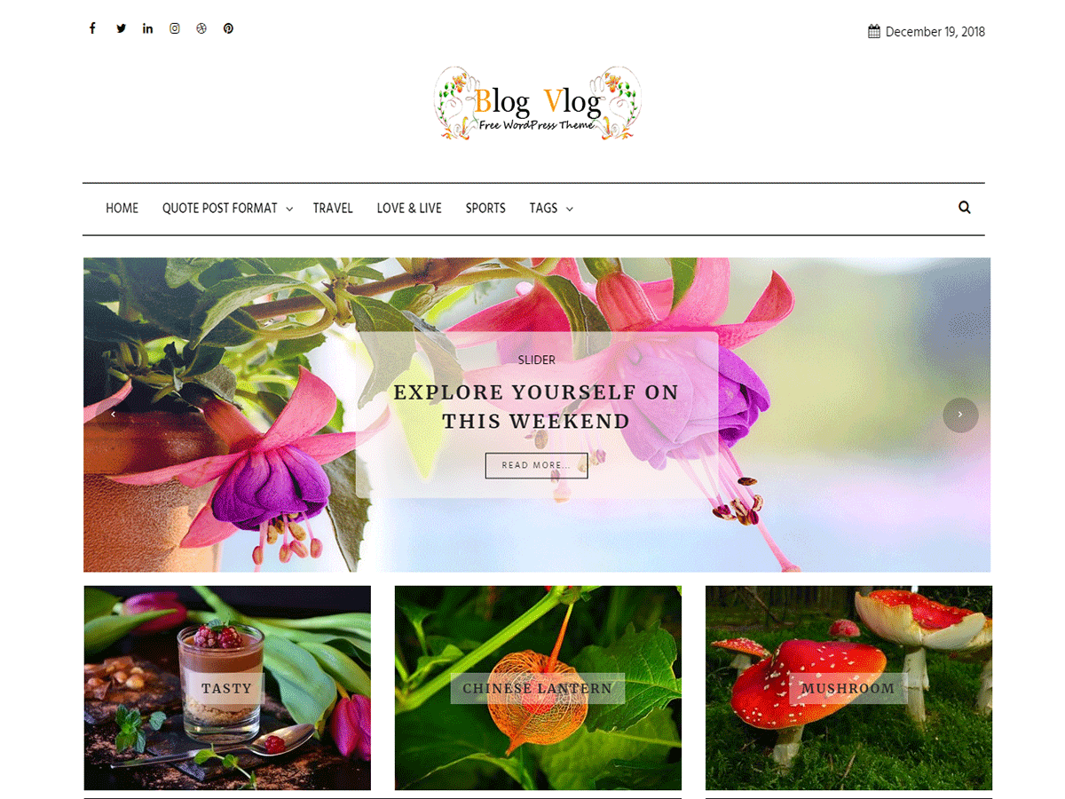 blog-vlog theme websites examples