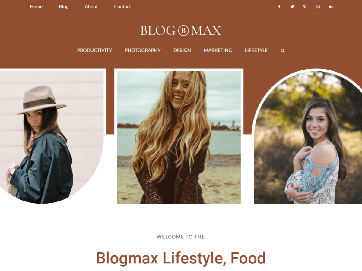 blogmax theme websites examples