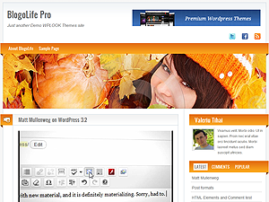 Blogolifepro theme websites examples