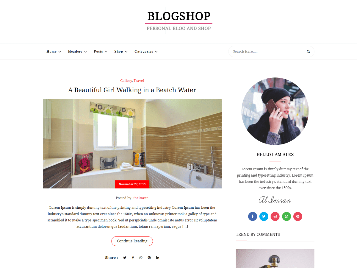 blogshop theme websites examples