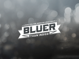 bluer WordPress theme, websites list used bluer theme bluer theme websites examples