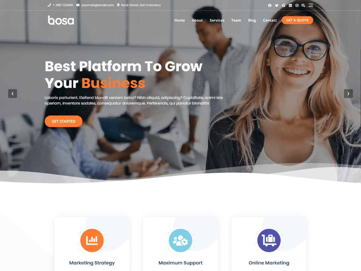 Bosa website example screenshot