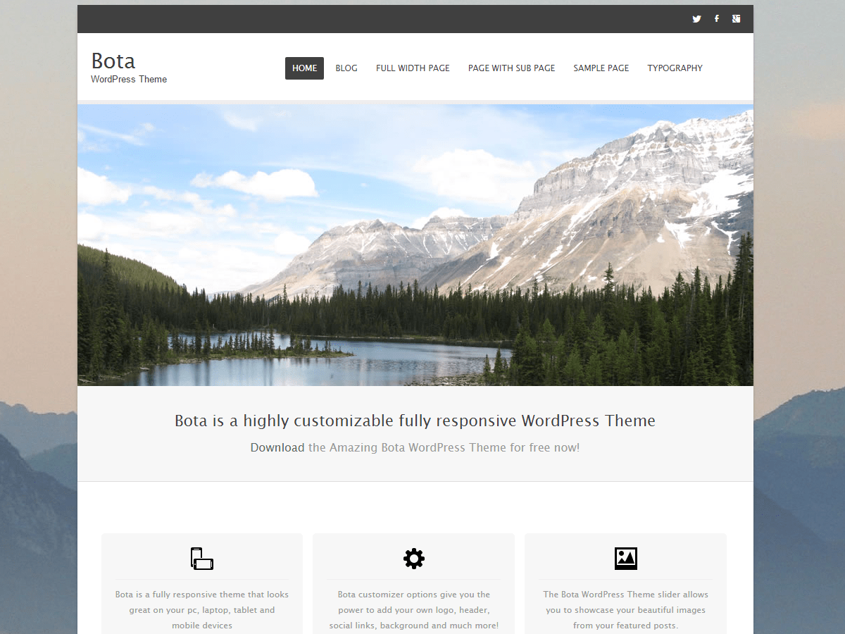 Bota website example screenshot