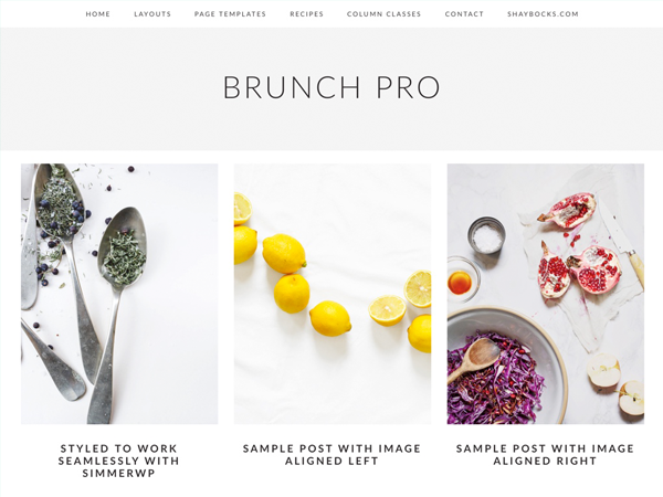 brunch-pro-2.0.0 theme websites examples