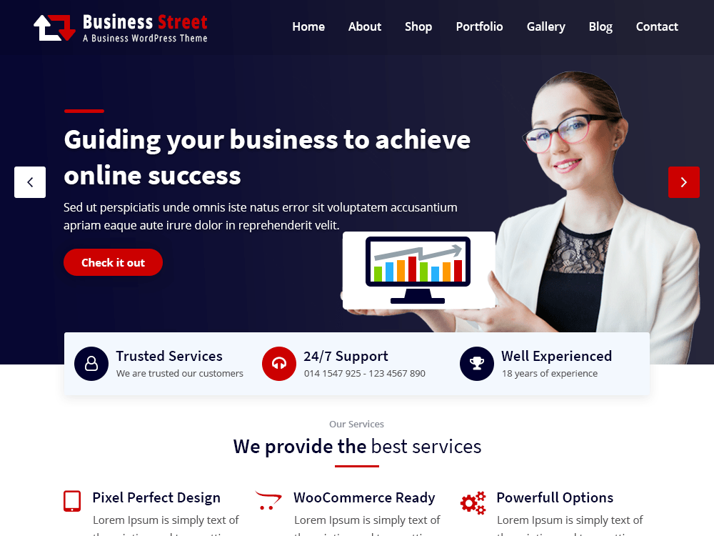 business-street theme websites examples