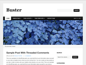 Buster Child Theme theme websites examples