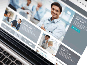Cacoon WordPress theme, websites list used Cacoon theme Cacoon theme websites examples
