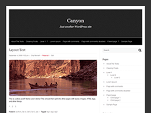 Canyon WordPress theme, websites list used Canyon theme Canyon theme websites examples