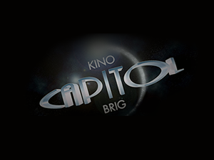 capitol theme websites examples