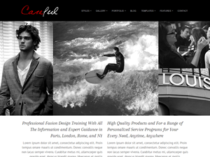 careful theme websites examples