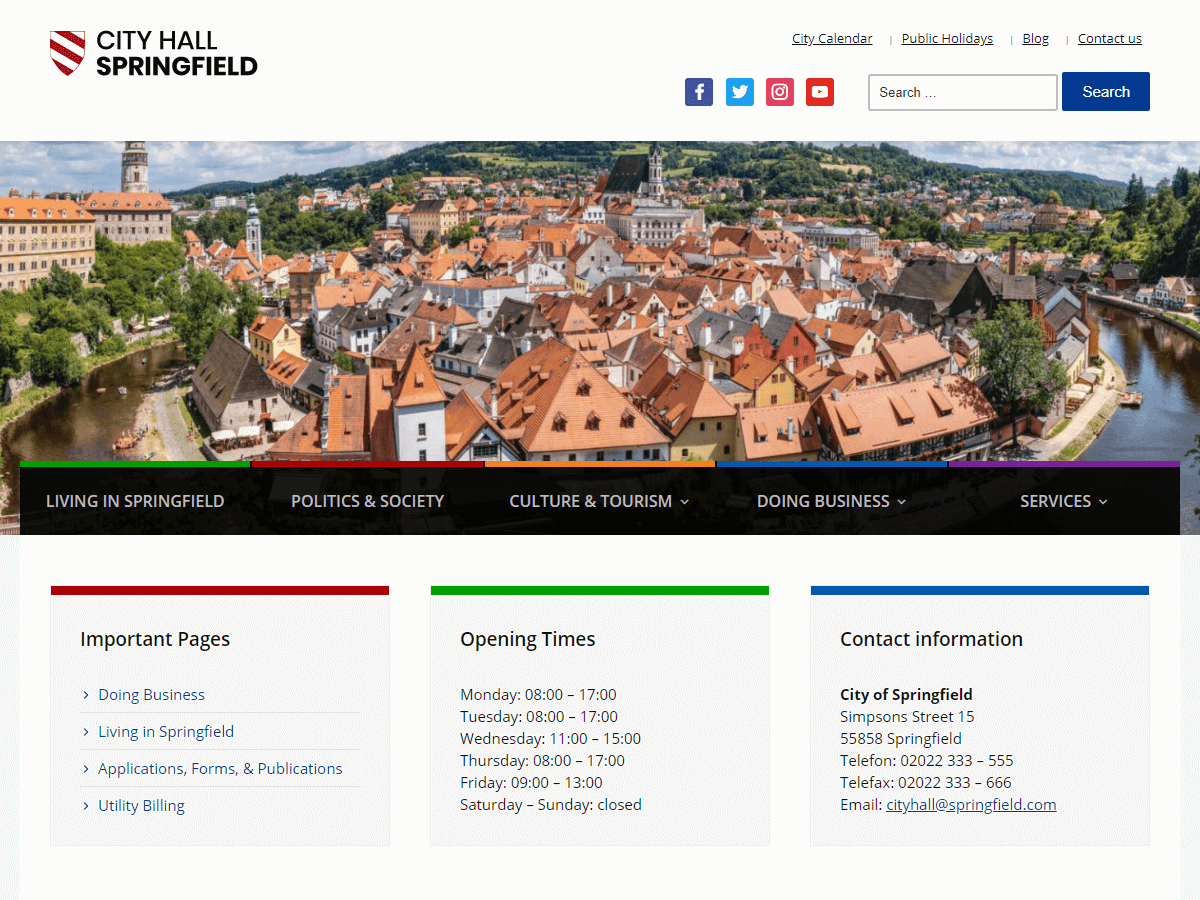 city-hall theme websites examples