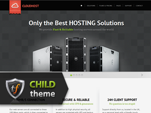CloudHost-Child theme websites examples