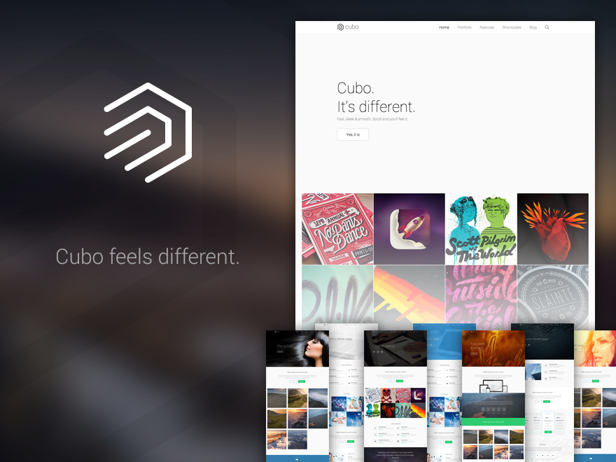 cubo theme websites examples