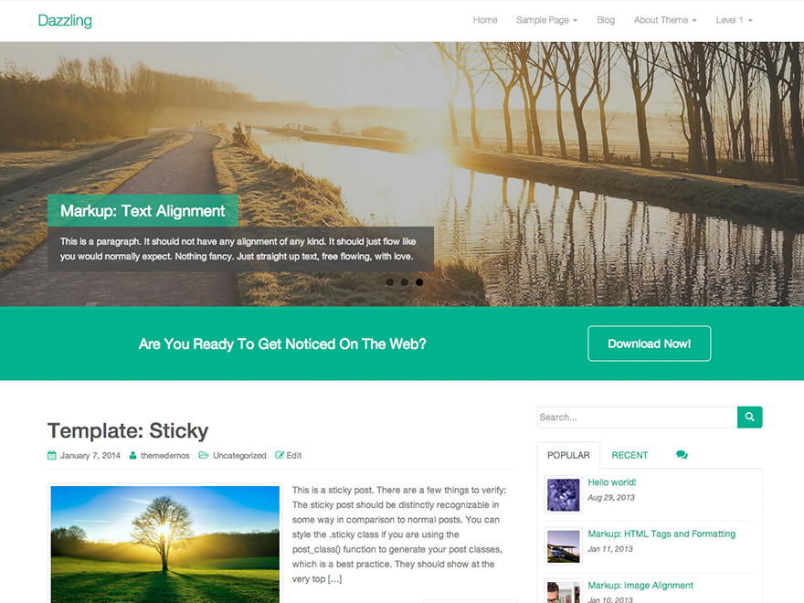 Dazzling website example screenshot