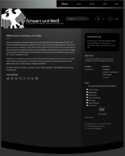 dfb theme websites examples