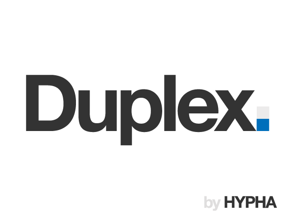 Duplex theme websites examples
