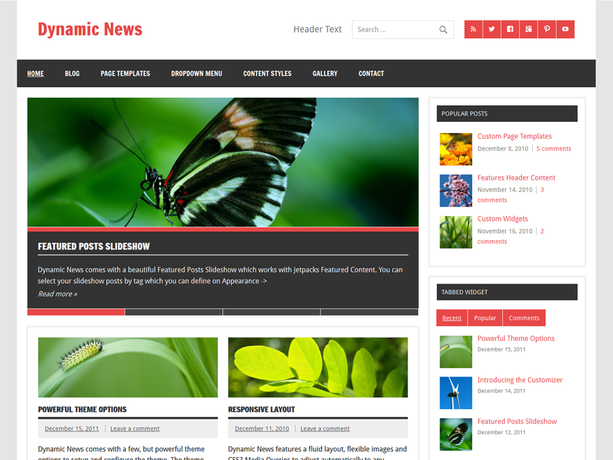 Dynamic News Lite website example screenshot