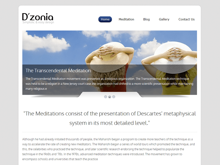 Dzonia Lite website example screenshot
