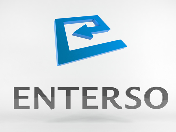 Enter theme websites examples