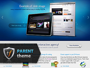 envision2 theme websites examples