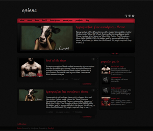Epione theme websites examples