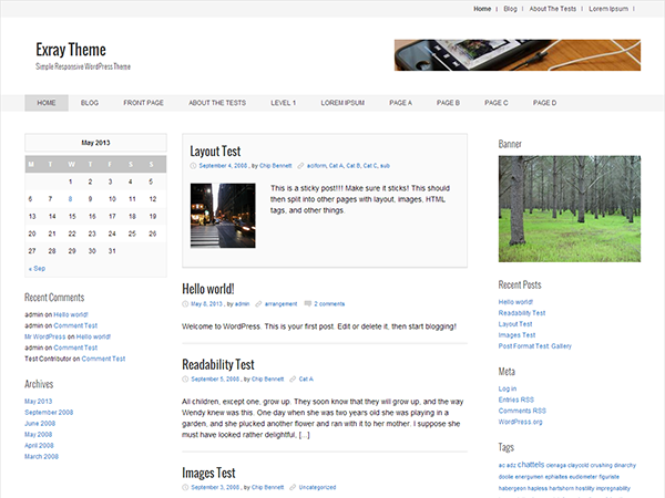 Exray website example screenshot