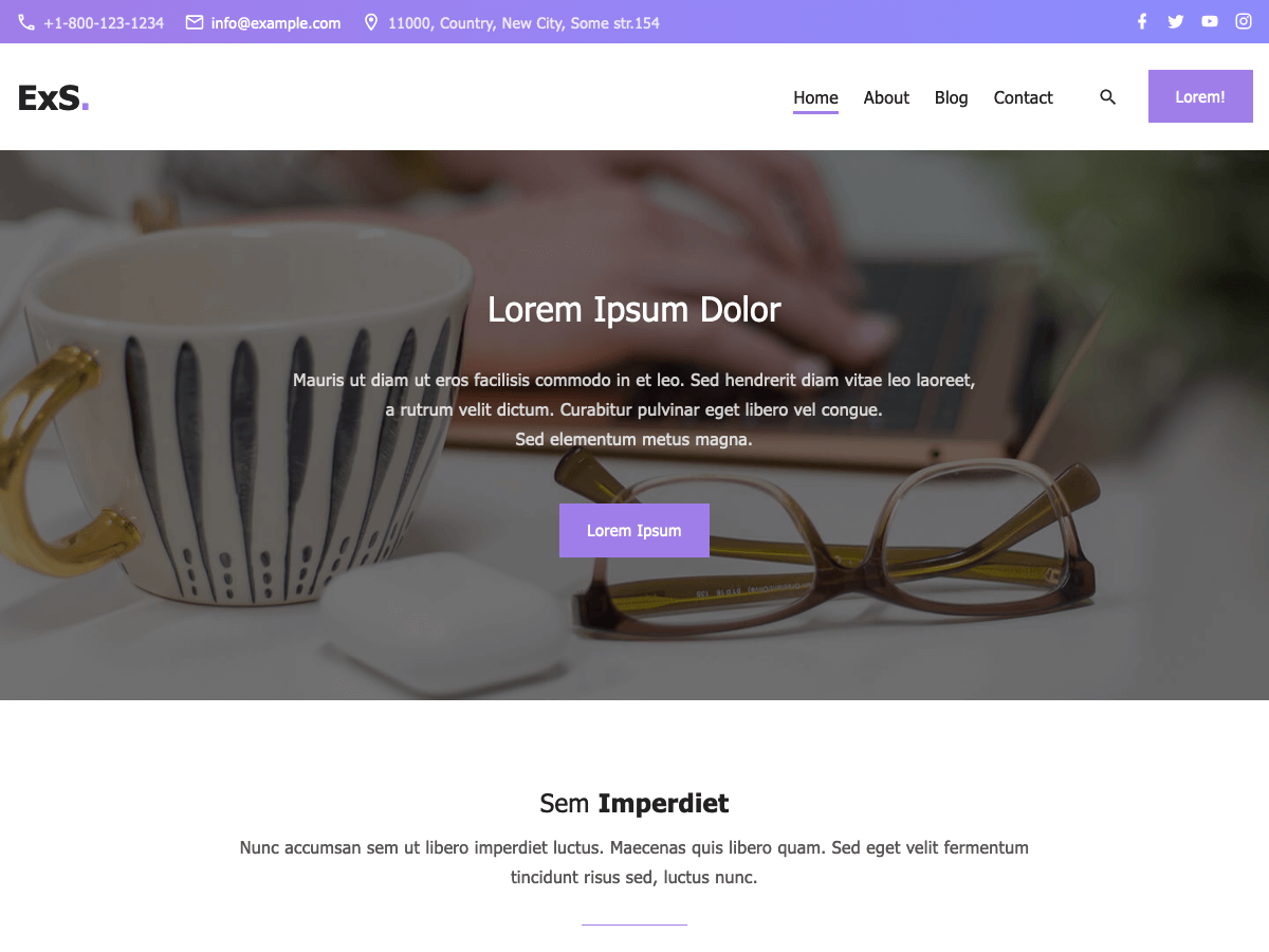 ExS website example screenshot