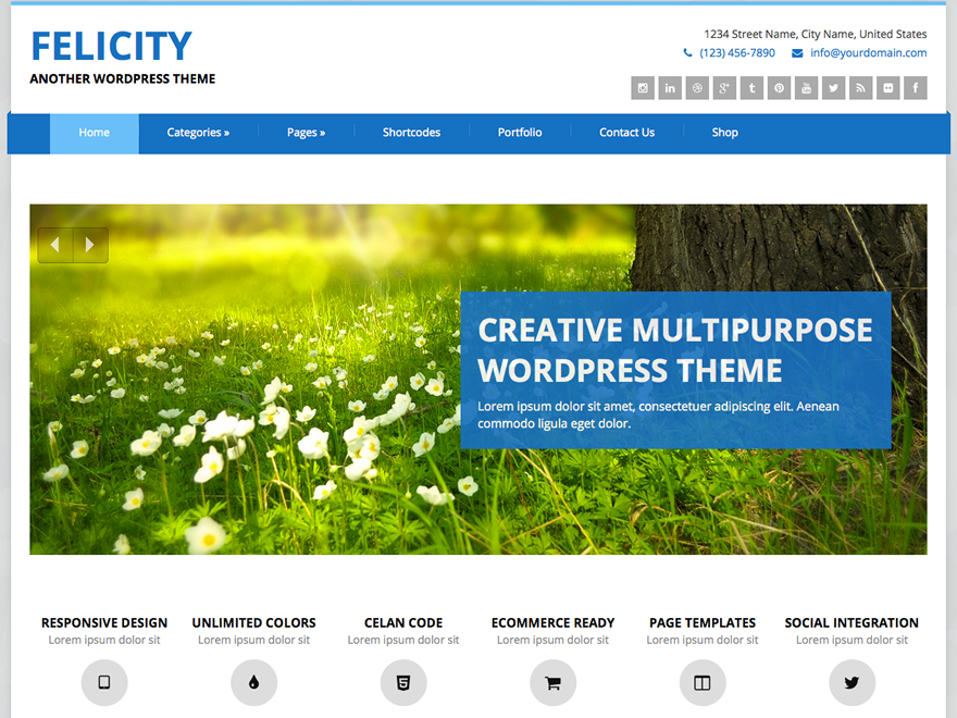 Felicity website example screenshot