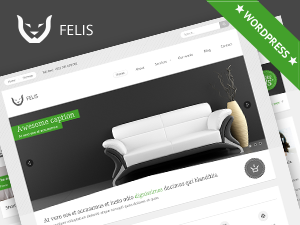 Felis WordPress theme, websites list used Felis theme Felis theme websites examples