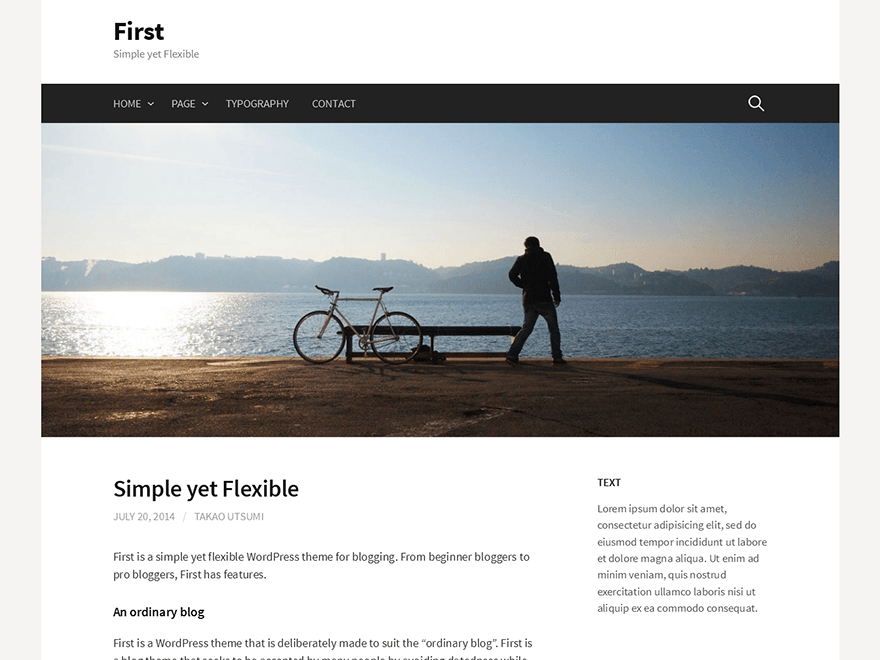 First website example screenshot
