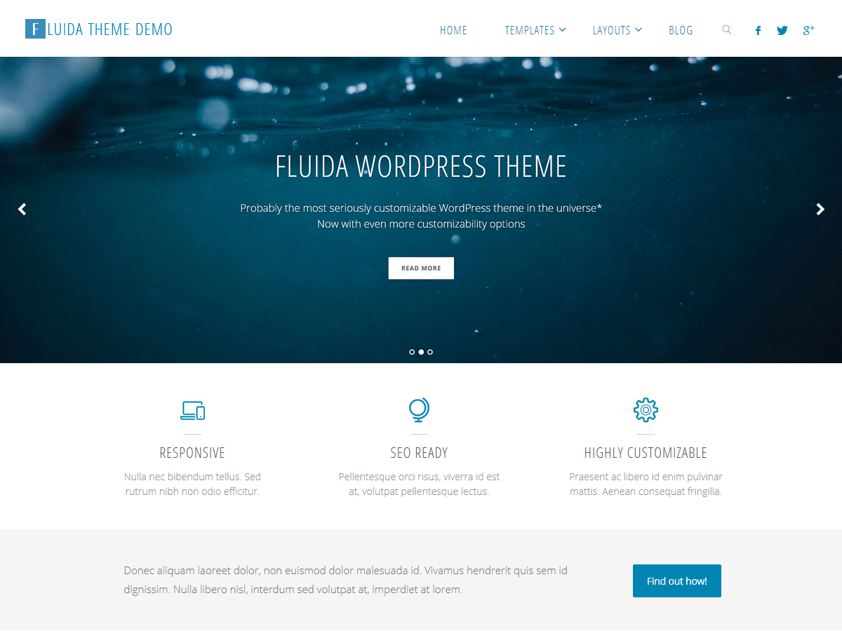 Fluida website example screenshot